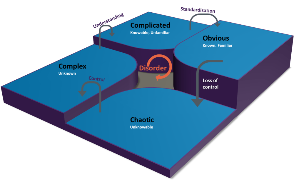 Cynefin Image